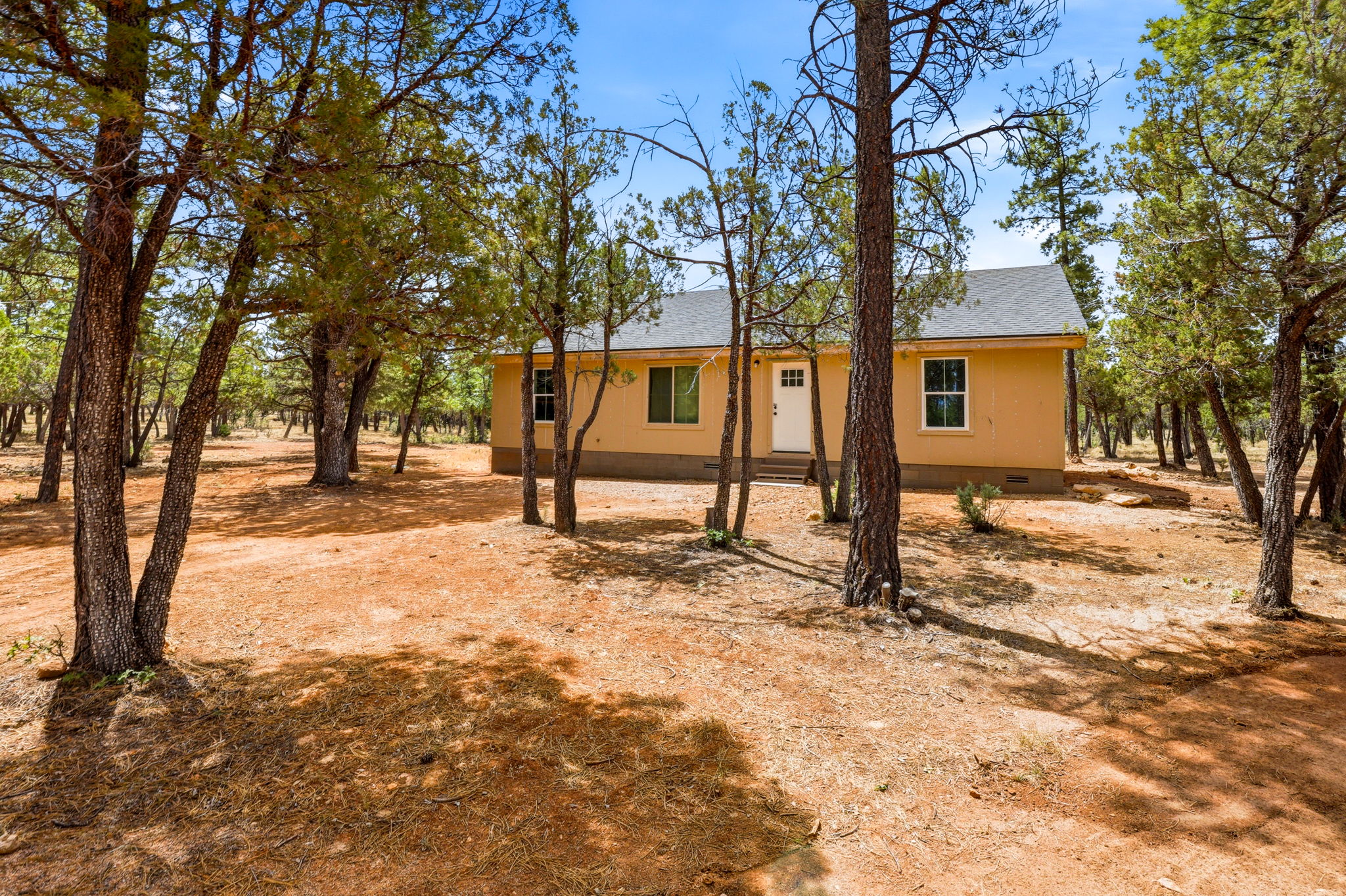  Photo 110