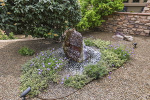 Water Feature 2