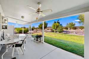 Back Patio