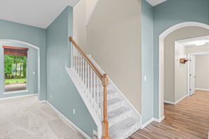  Photo 48