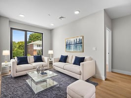 249 Corey Rd 105 Boston MA 15 virtually staged.jpeg