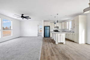 Living Room and Kitchen