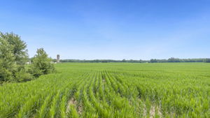  Photo 0