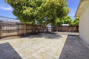  Photo 37
