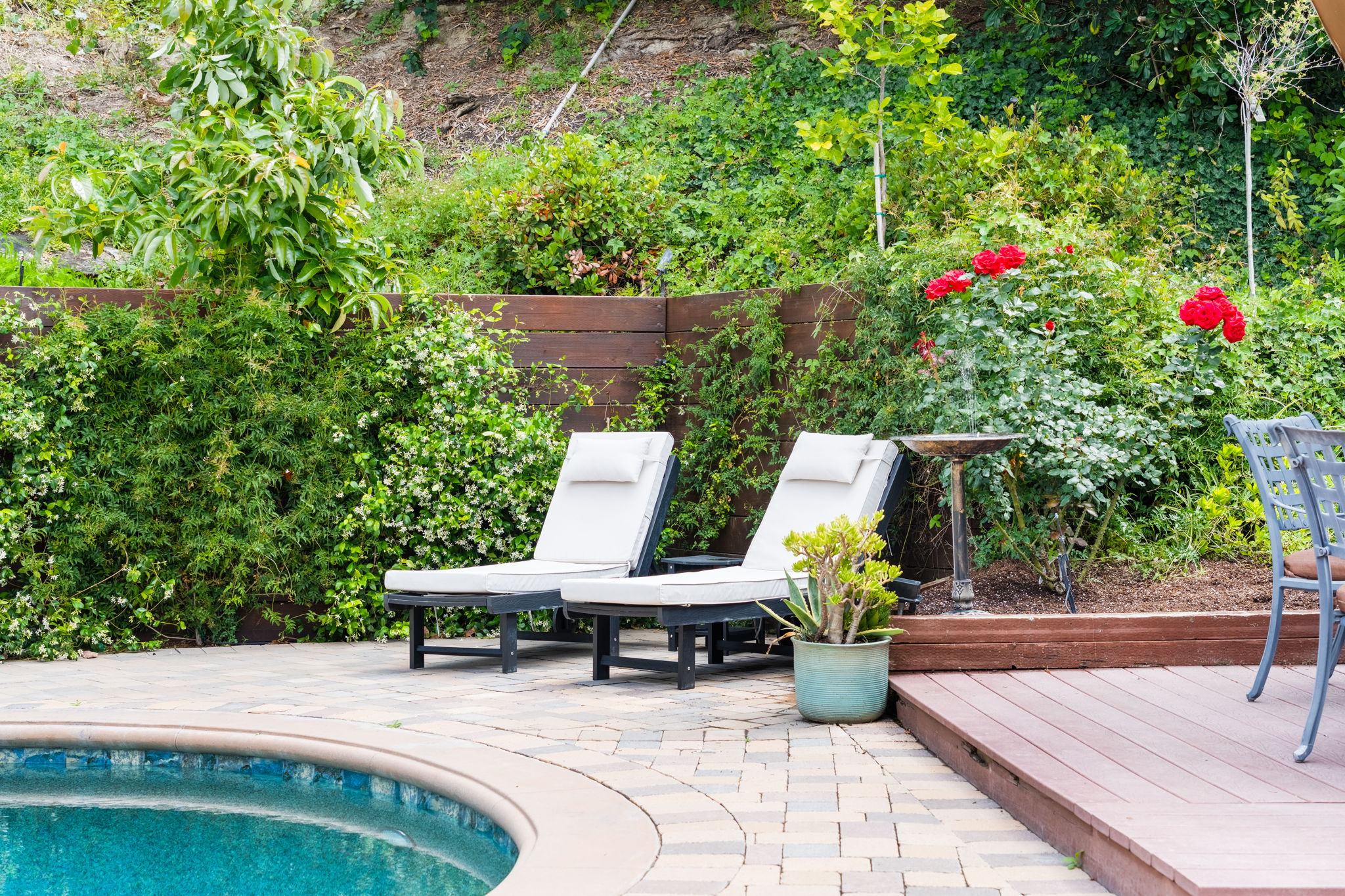 Plenty Of Places To Lounge By The Pool