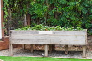 Raised Garden Beds Ready For Your Green Thumb