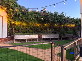 Garden Area Is Magical In the Evening