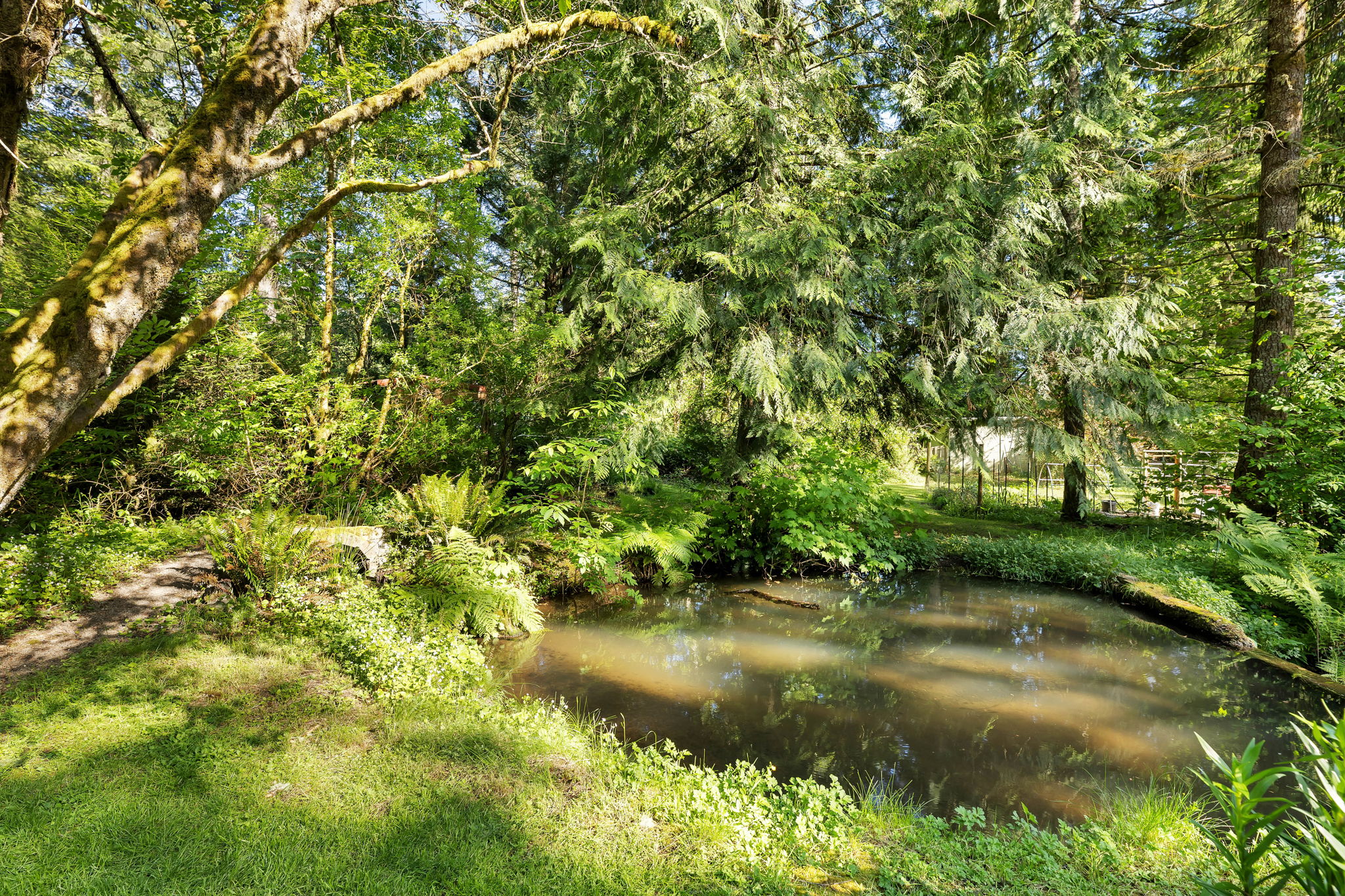  Photo 46