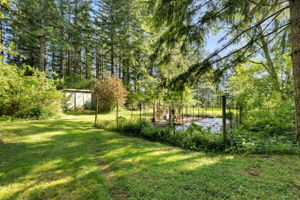  Photo 47