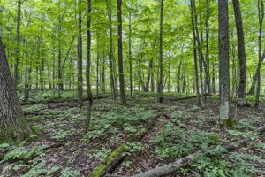  Photo 0