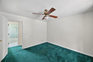 Interiors (14)