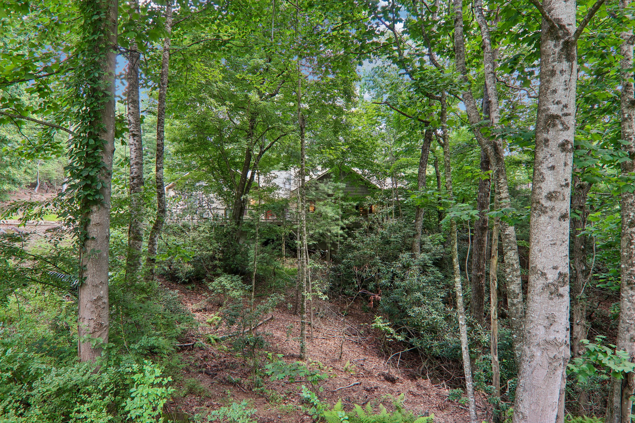 Arnie Dr-S0907-059.jpg