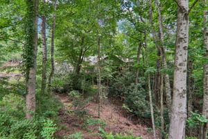 Arnie Dr-S0907-059.jpg