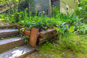  Photo 35