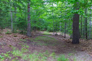  Photo 51