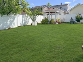 Retreat-like Backyard