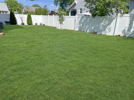 Totally Fenced Backyard