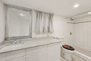 Basement Full Bath