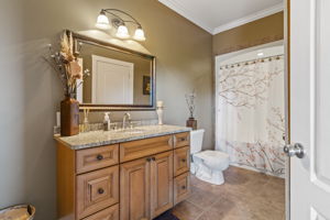 Photo 41