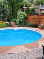  Photo 46