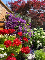  Photo 47