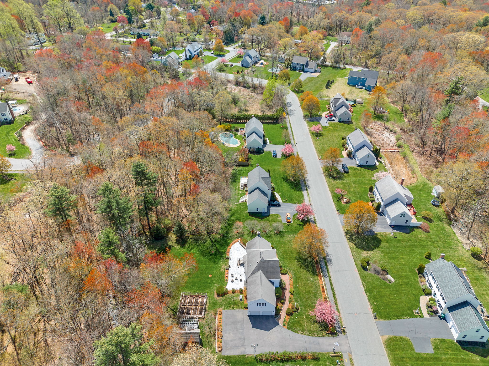  Photo 59