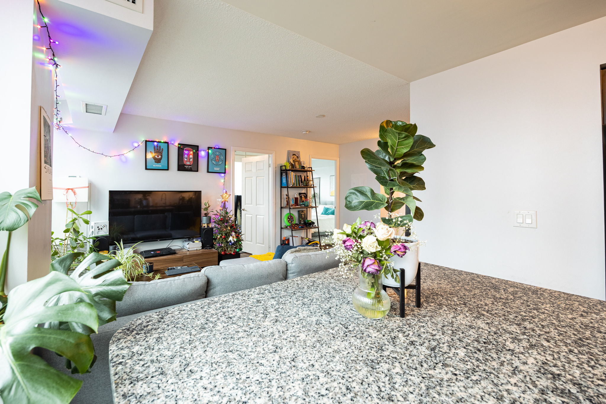 Toronto property showcase — delivered property photograph 6