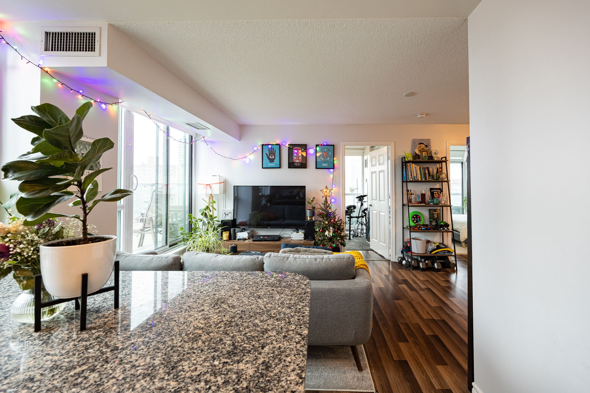 Toronto property showcase — delivered property photograph 5