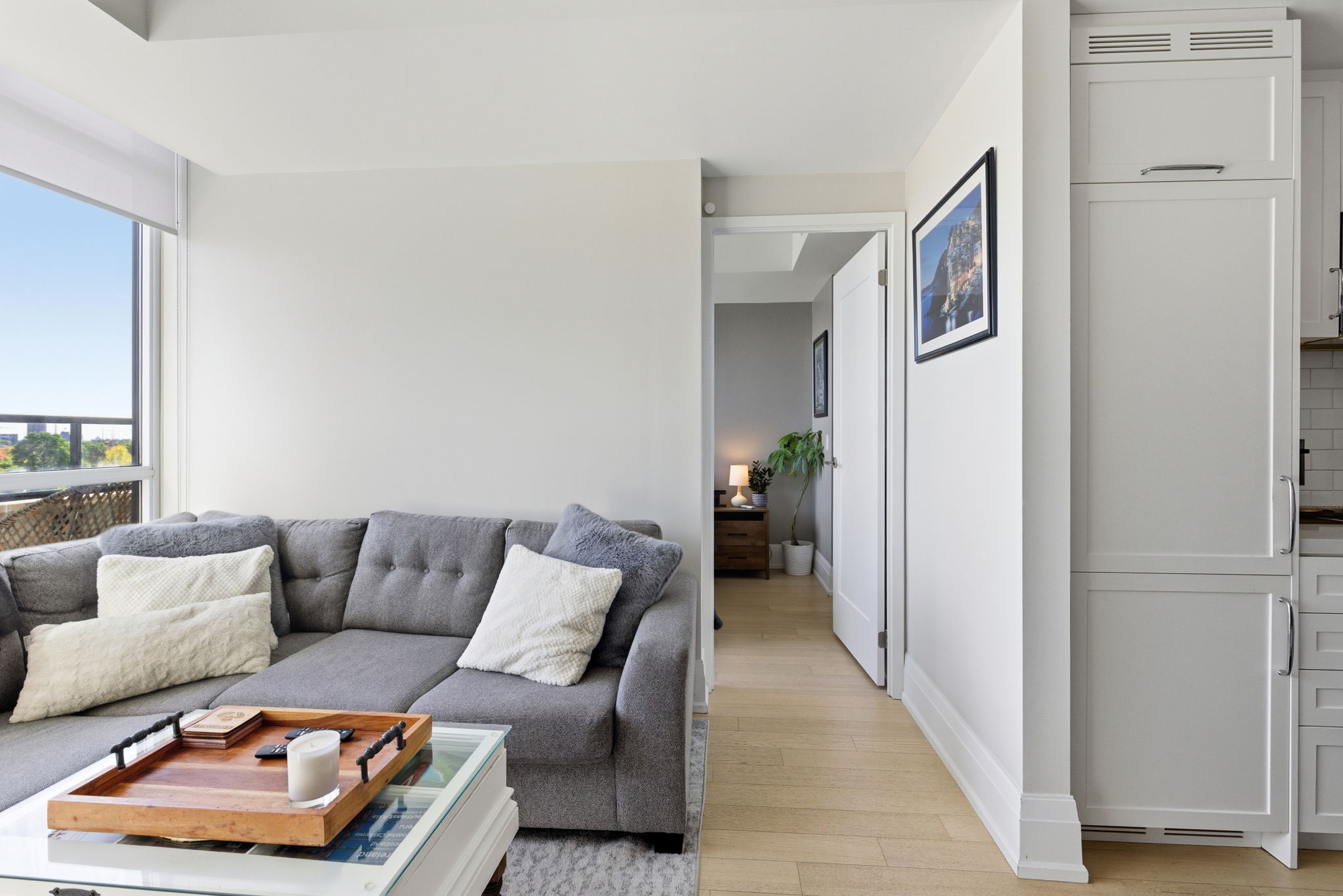 Toronto property showcase — delivered property photograph 12