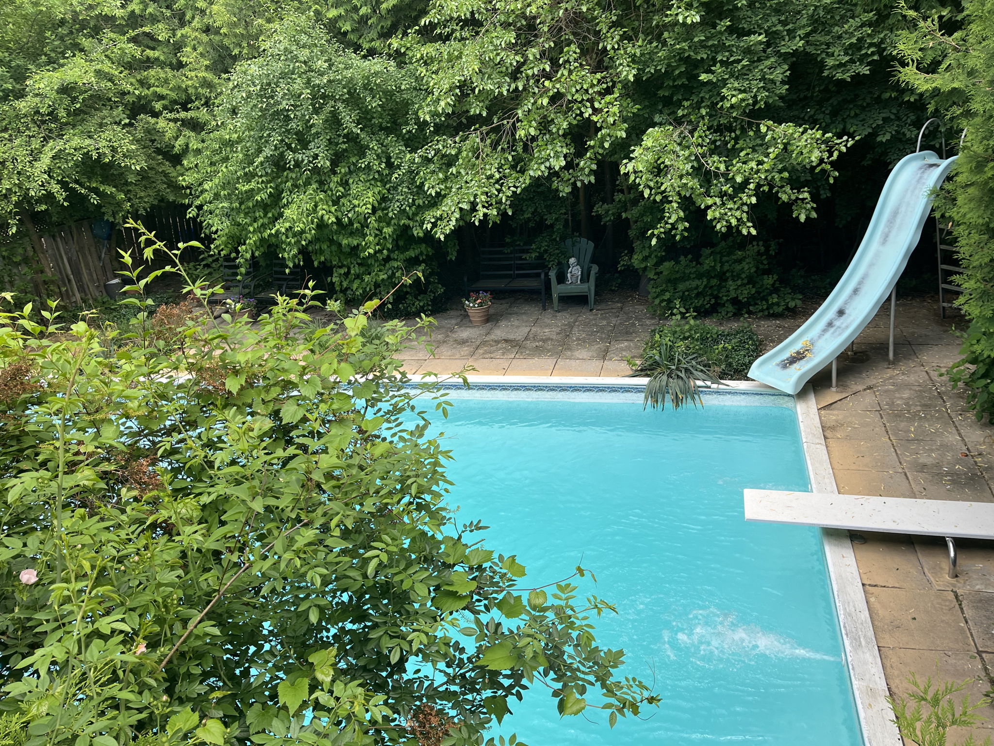 Lush greenery surrounds the pool