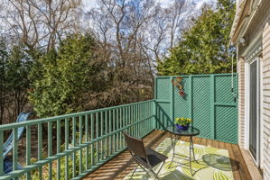 Ravine facing deck off the kitchen