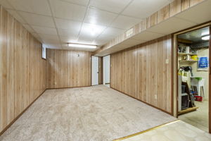  Photo 50