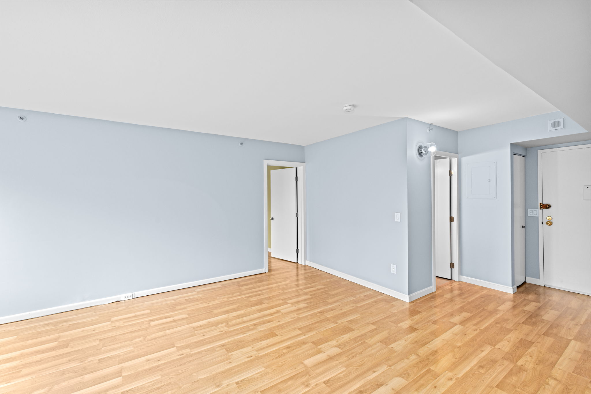 Entry/Living Room