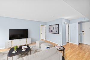 Entry/Living Room VS