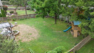  Photo 52