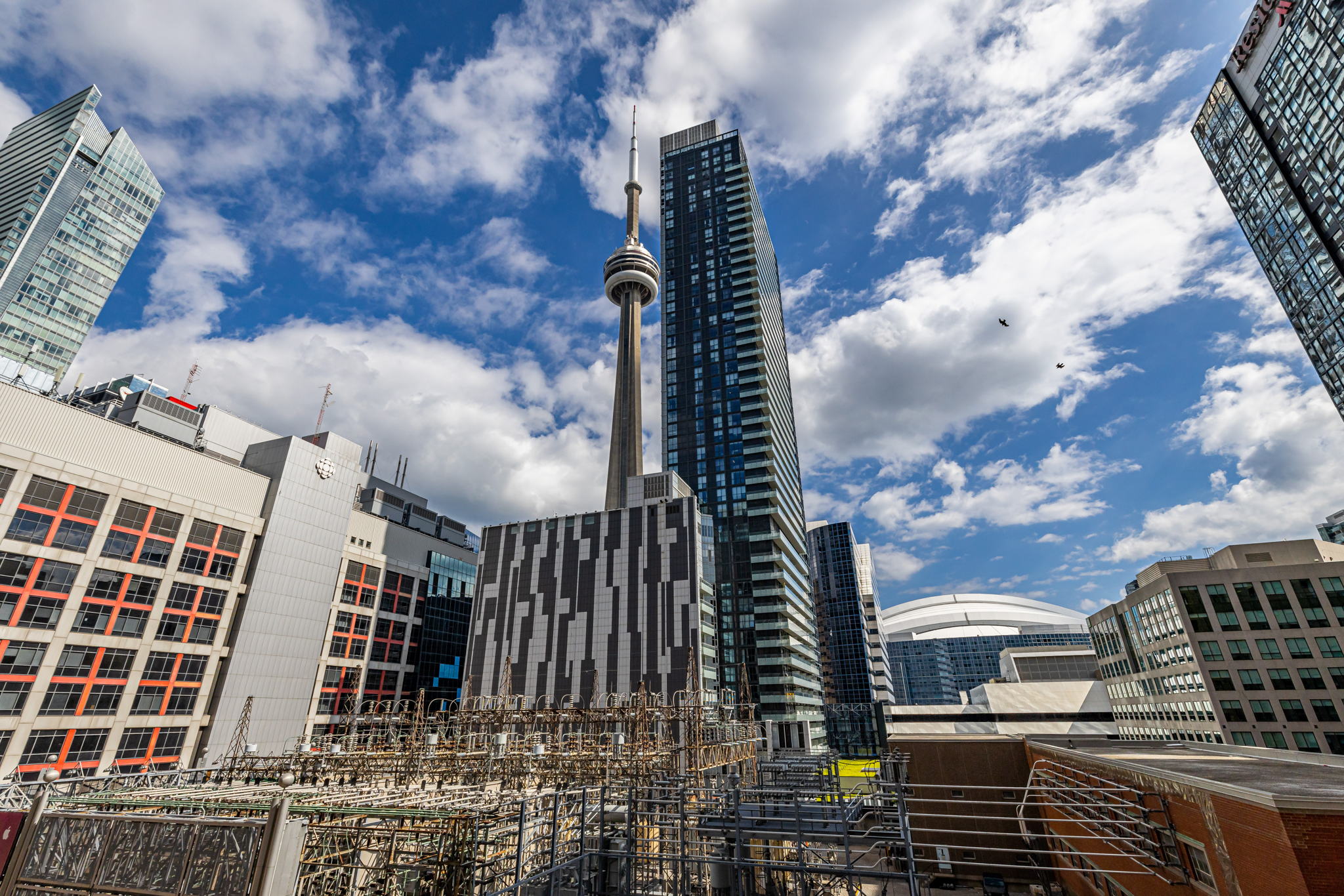 Toronto property showcase — delivered property photograph 27