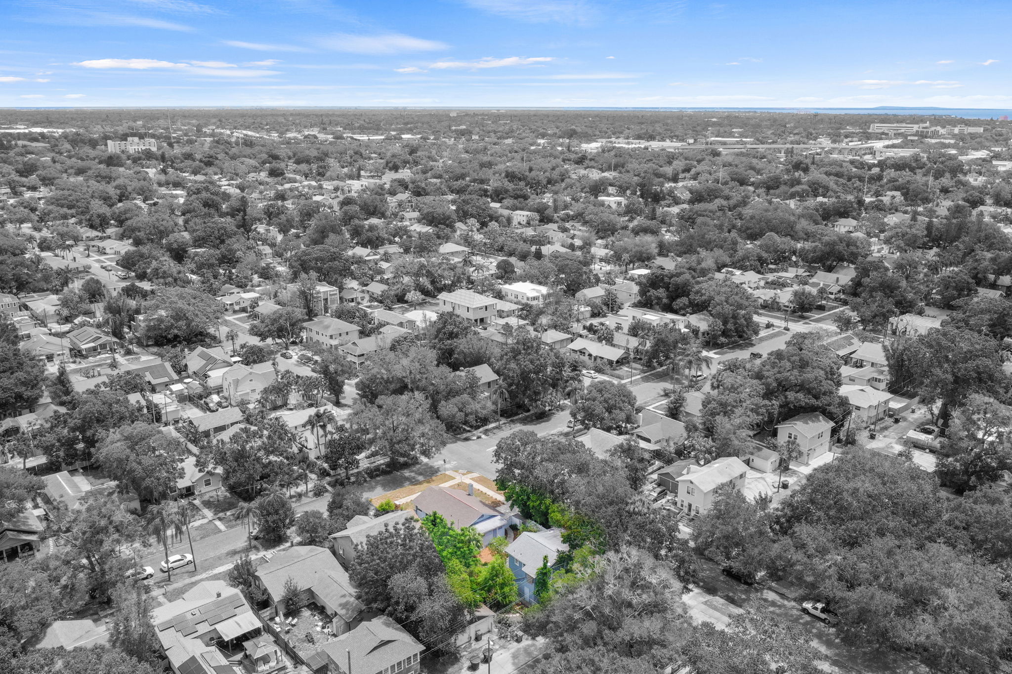 Back Drone - DJI_0149 BW Updated