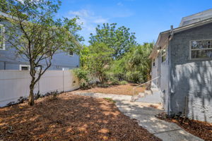 A Back - 495A9154 (1)