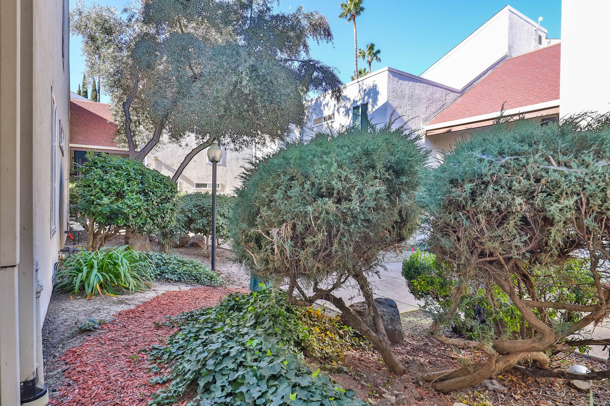 2500 Laguna Cir, Concord, CA 94520, USA Photo 13