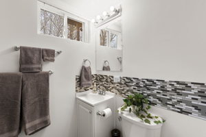 Lower Level - Bathroom