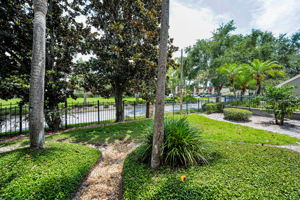 Backyard1