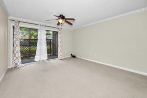 Living Room3