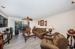 Living Room 1-2
