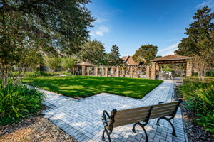Courtyard & Pool 1
