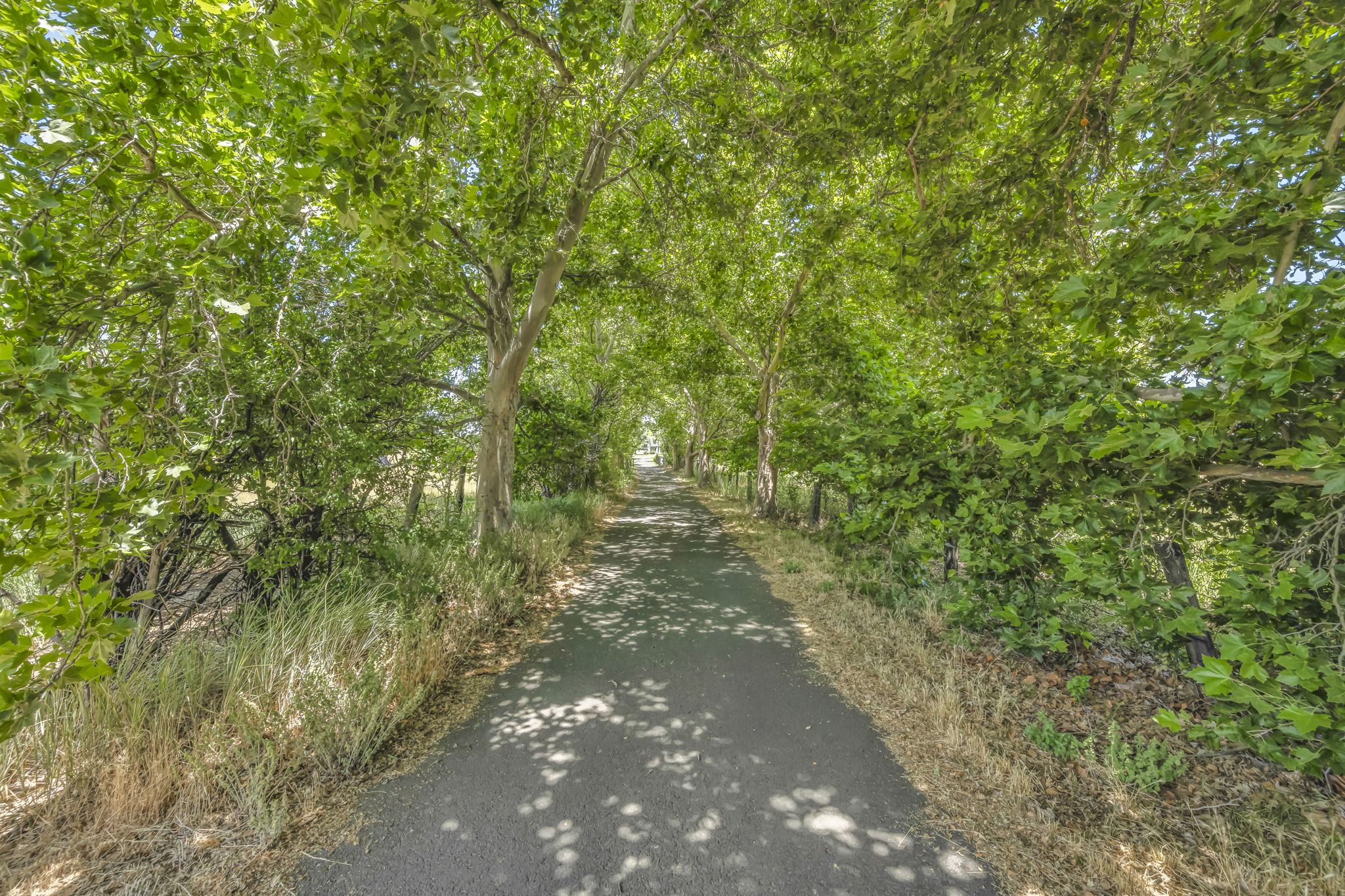  Photo 49
