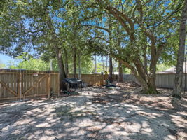 Rear Yard 3