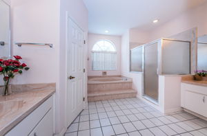 Master Bathroom1a