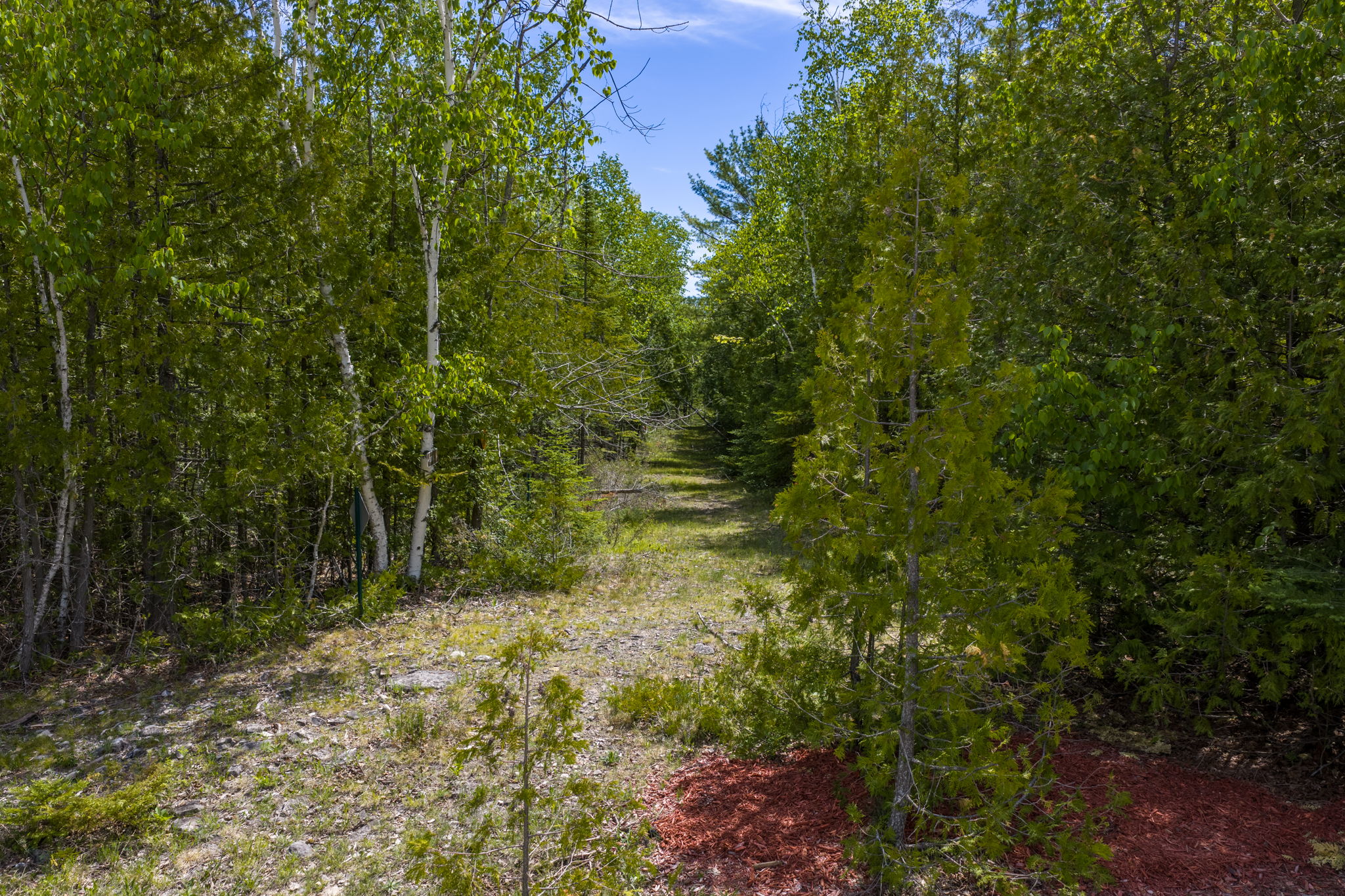 Cty F Baileys Harbor Summer Update-28