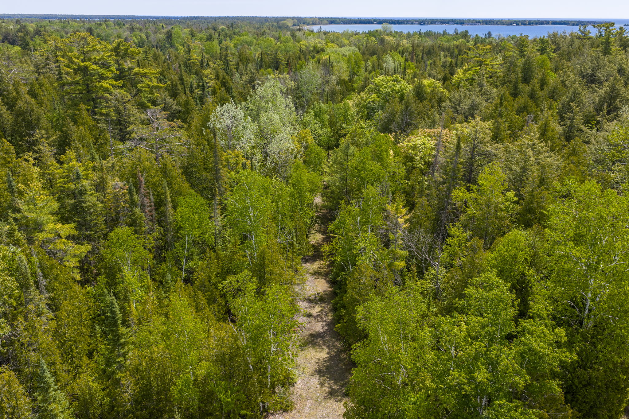 Cty F Baileys Harbor Summer Update-29