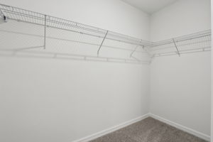 Orlando - Bradbury Creek - 2505 Merseyside Court, Haines City, FL 33844 - 028